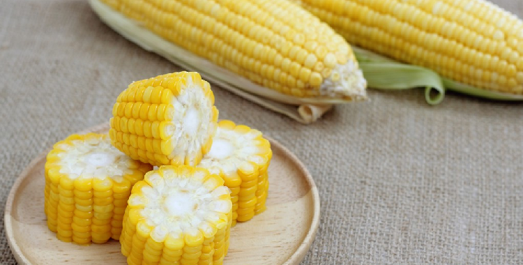 市场看涨情绪飙升 玉米短期或仍将维持强势运行