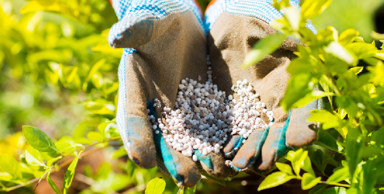 市场成交情绪明显转弱 尿素短期呈偏弱走势
