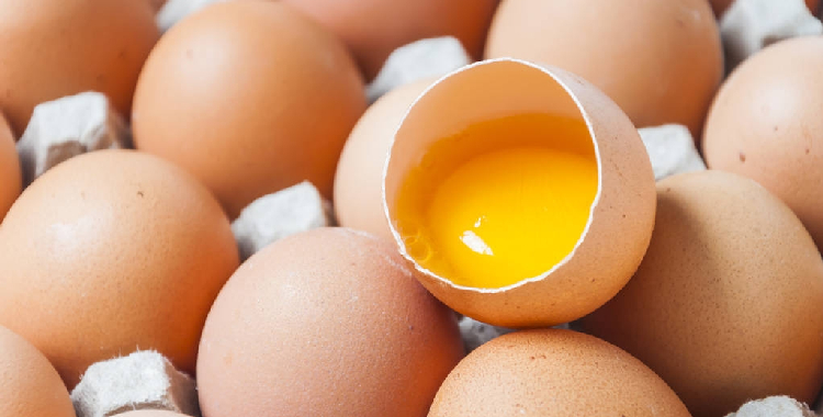 市场交易氛围趋弱 预计鸡蛋短期维持区间偏弱震荡