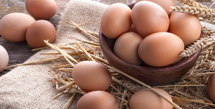 市场季节性需求淡季 鸡蛋短期维持震荡区间震荡格局