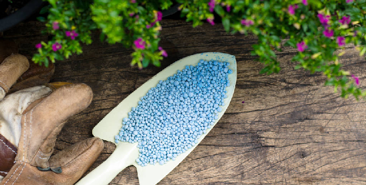 市场供需支撑不足 尿素短期走势承压运行