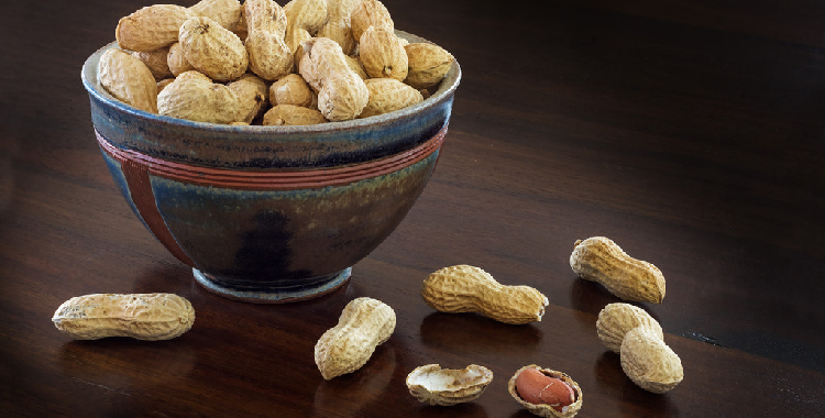 油料与食品市场需求欠佳 预计花生短期震荡偏弱运行