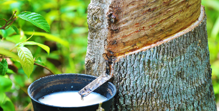 社会库存季节性累库中 橡胶短期或宽幅震荡运行