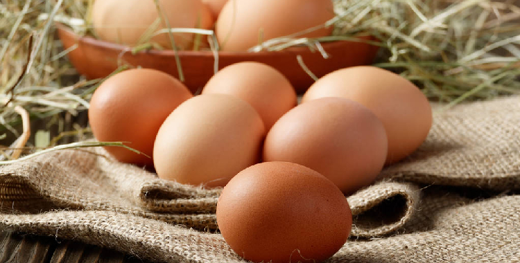 下游贸易商采购积极性提升 鸡蛋短期处震荡偏强状态