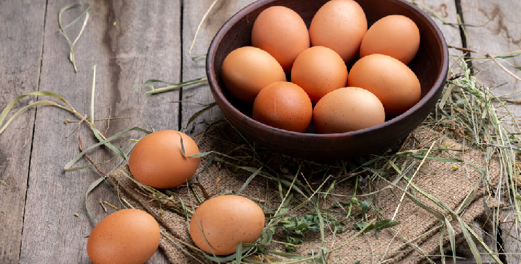 市场消费缓步攀升 预计鸡蛋短期在区间内仍震荡偏上行