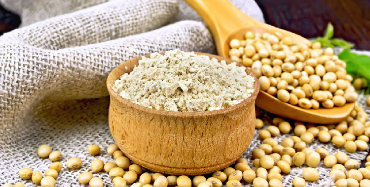 基本面难改偏弱格局 预计豆粕短期偏弱运行为主