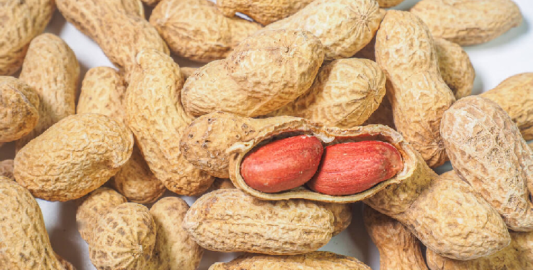 下游需求持续偏弱 花生短期或将震荡偏弱运行