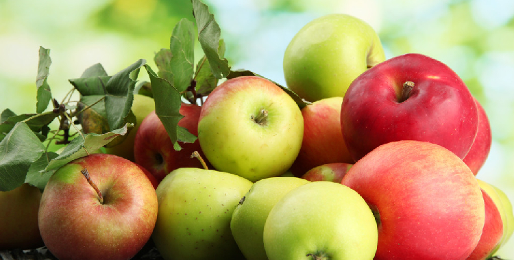 产区节日备货氛围清淡 苹果短期或延续震荡偏弱运行