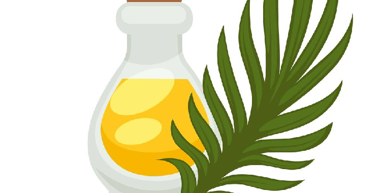 生物柴油政策拉动需求 棕榈油短期跌势放缓