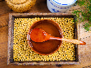 豆粕期货9月18日减仓近20万手 机构仍看高位震荡